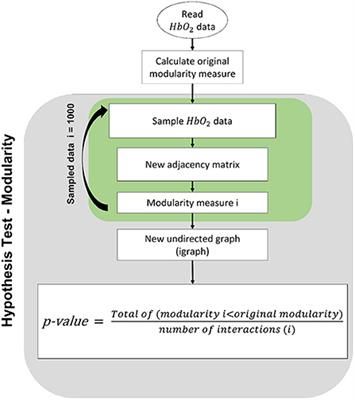 Applications of graph theory to the analysis of fNIRS data in hyperscanning paradigms